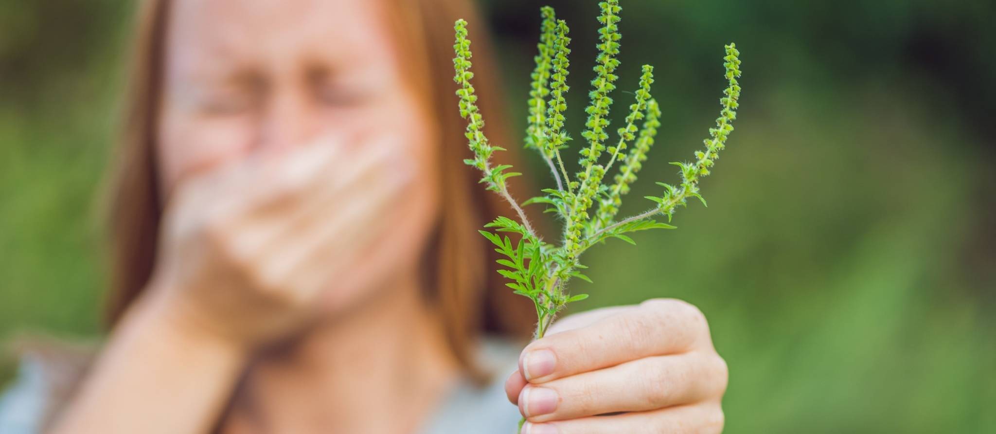 Ce que vous pouvez faire contre l'herbe à poux