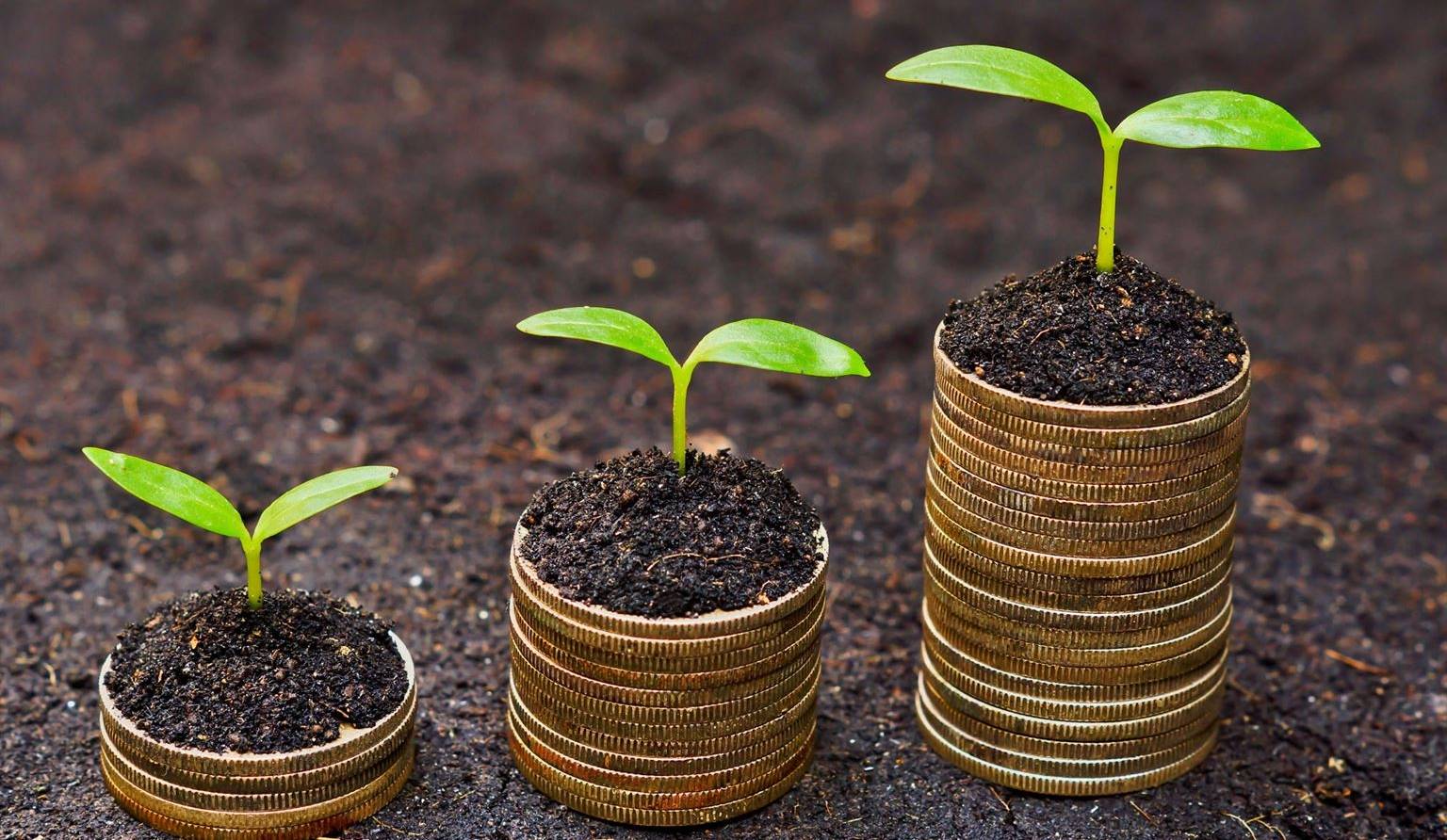 Investir dans des fonds éthiques devient plus facile