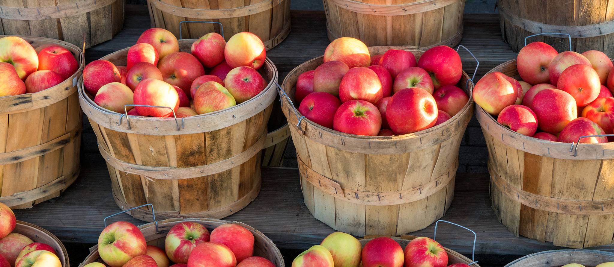 Saison des pommes : acheter au verger ou à l’épicerie ?