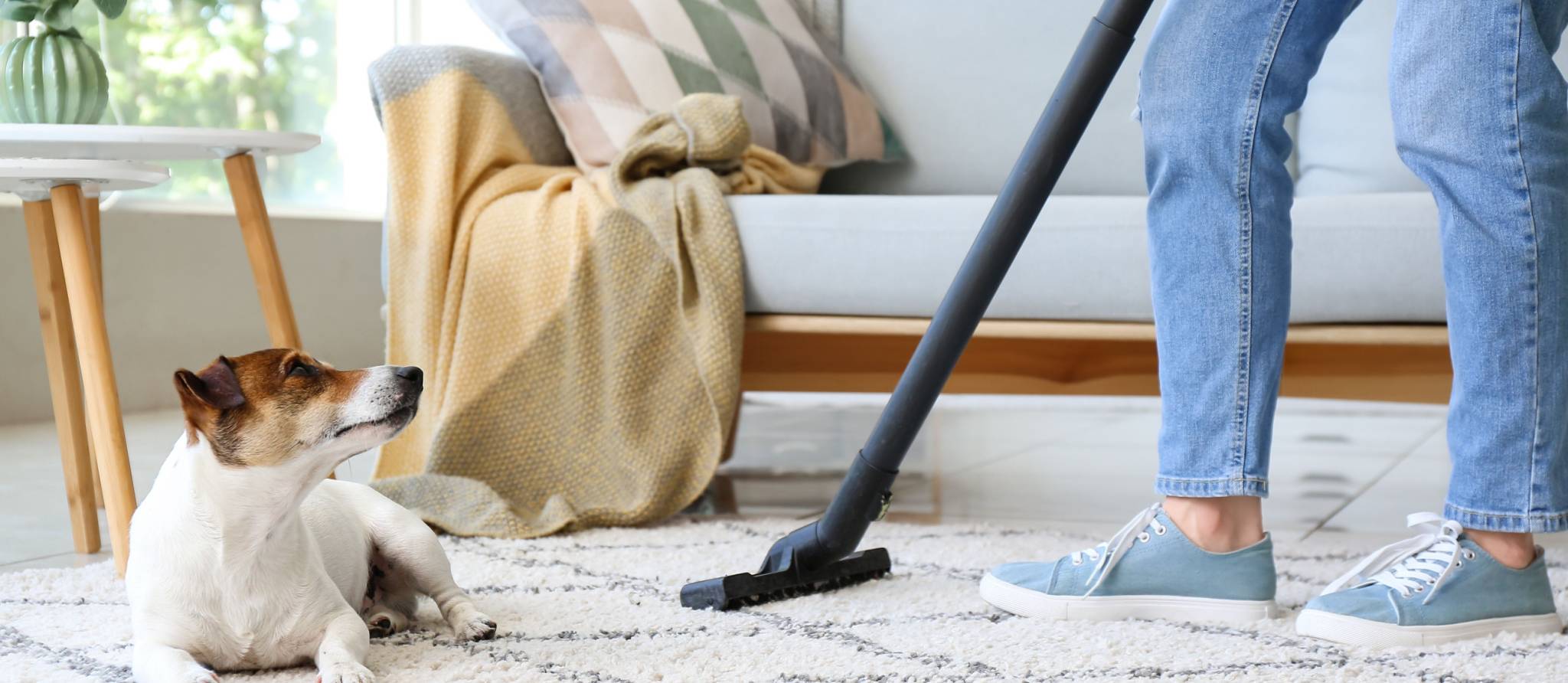 Comment bien entretenir un aspirateur à traîneau, à vapeur ou robot