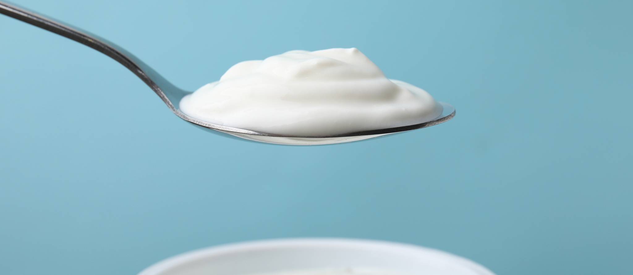 Votre pot de yogourt démystifié