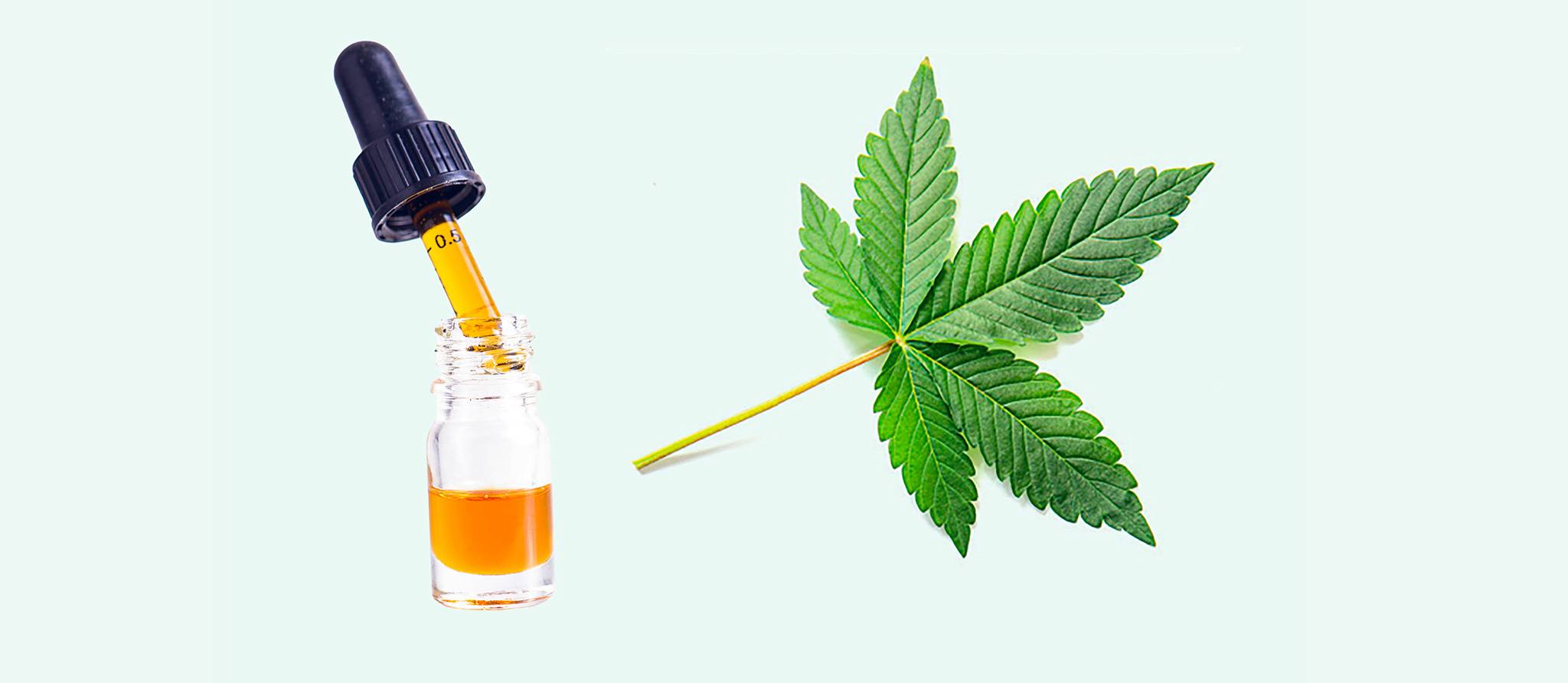 CBD : des bénéfices à démontrer