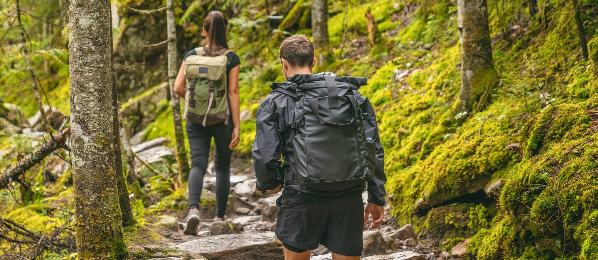 Qu’est-ce que la fièvre pourprée des montagnes Rocheuses ?
