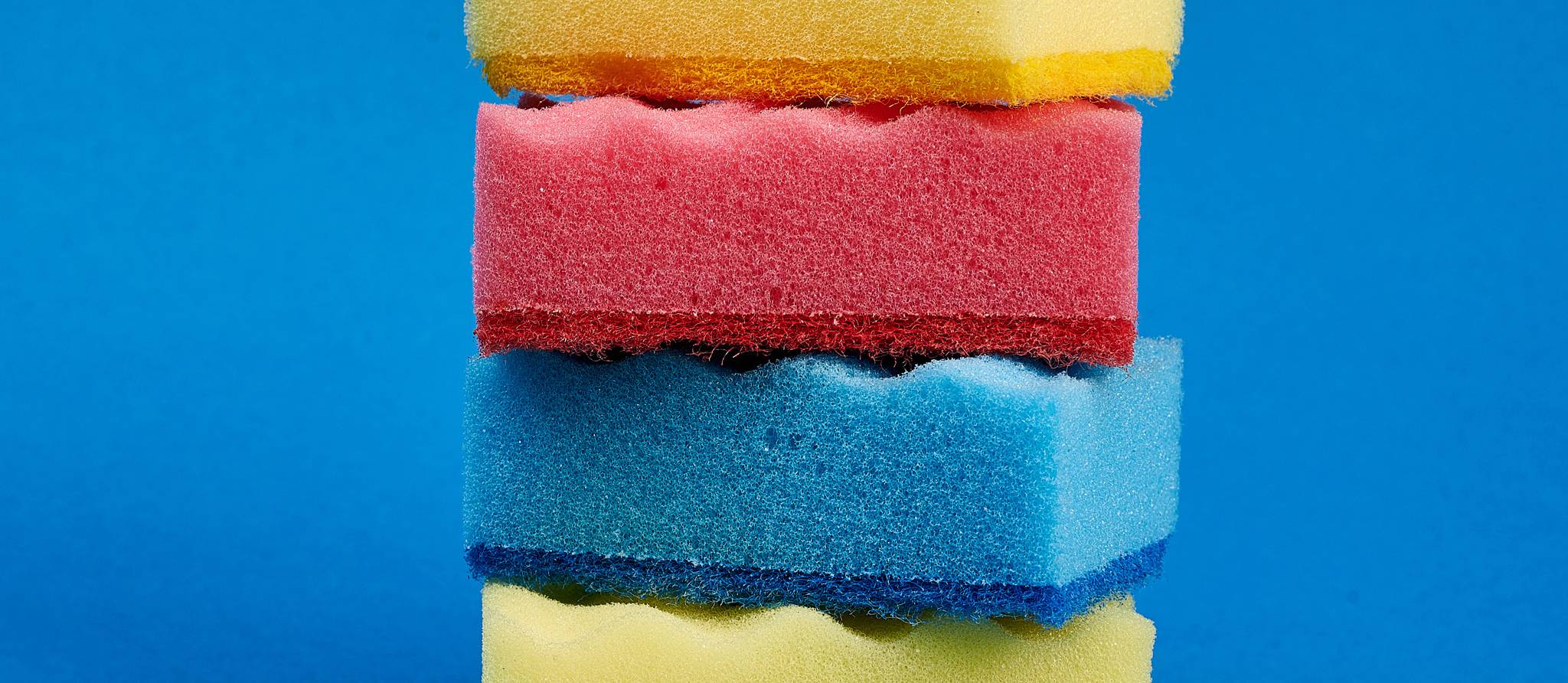 Les bactéries dans les éponges de cuisine sont-elles réellement nocives?