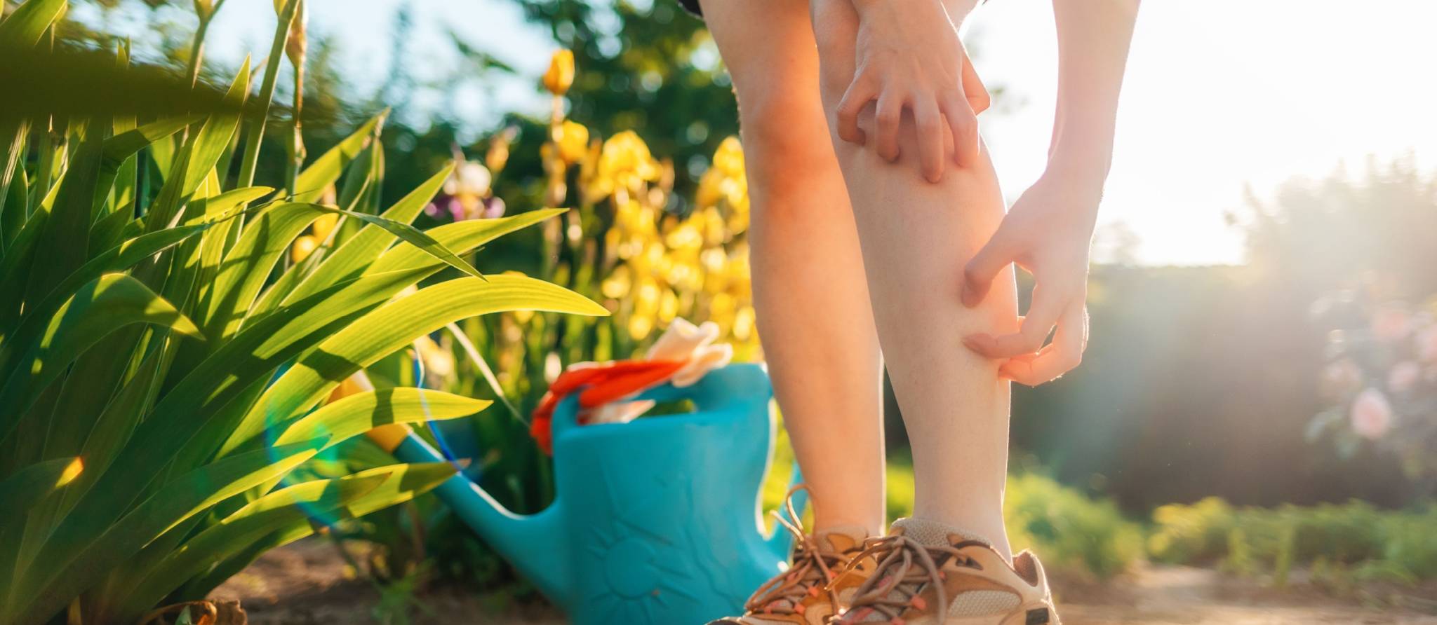 Pourquoi certaines personnes attirent-elles les moustiques ?