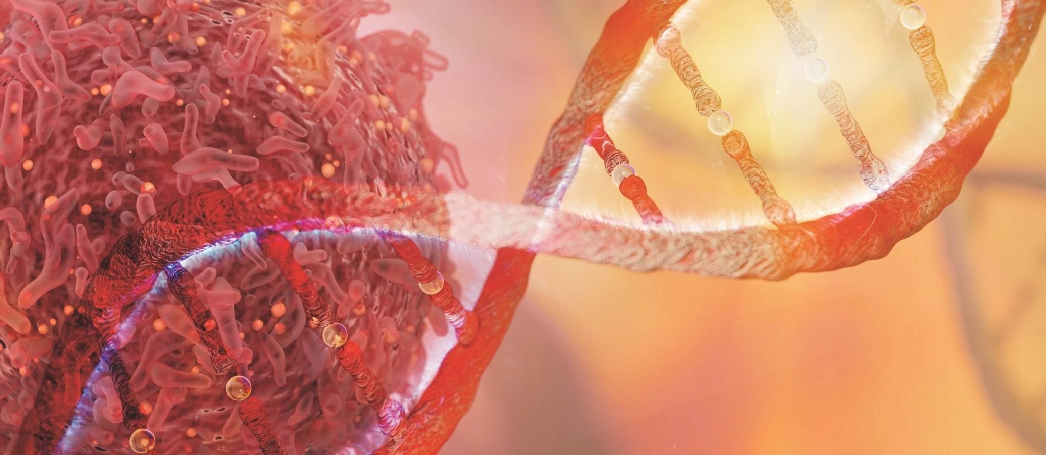 L’immunothérapie, un traitement personnalisé contre le cancer