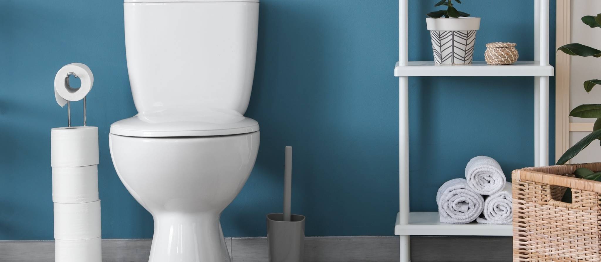 Comment choisir une toilette pour votre salle de bain