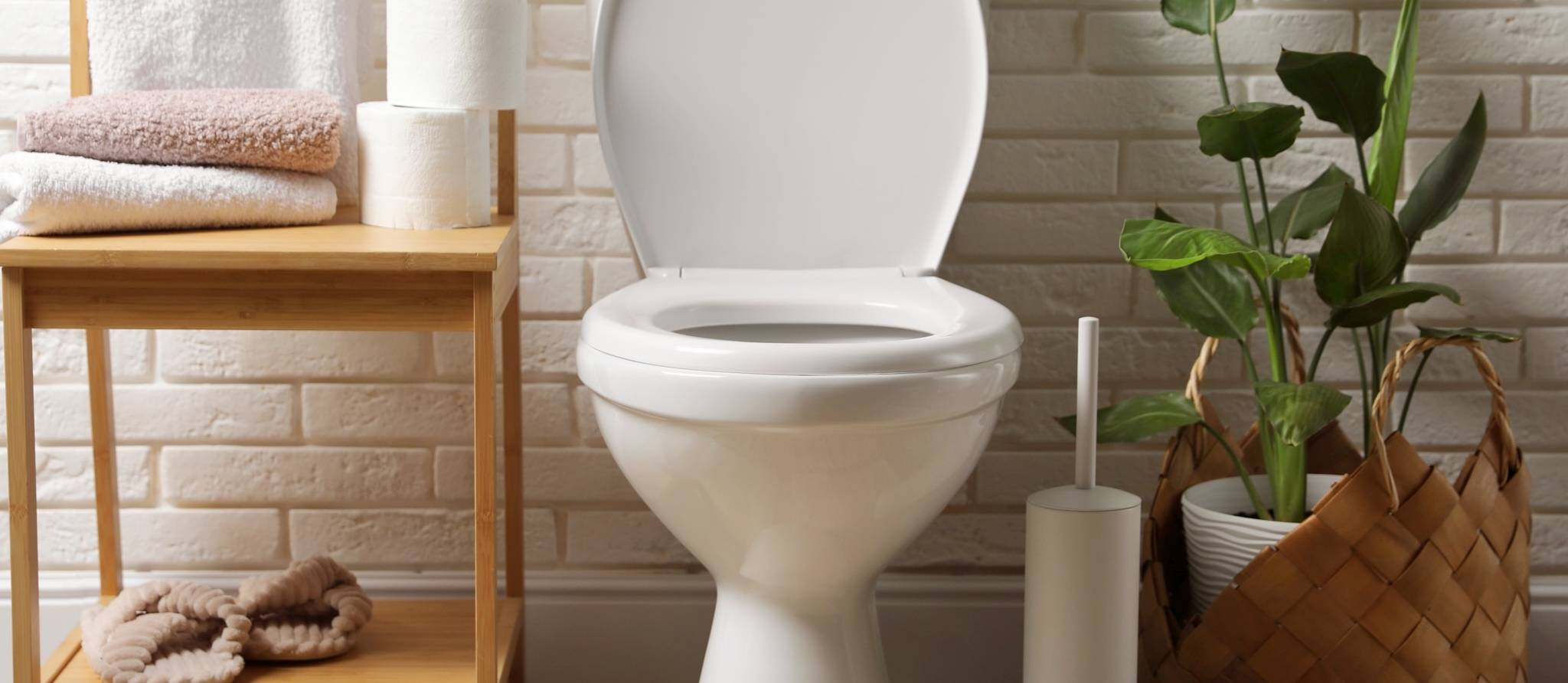 Dix choses à ne pas jeter dans les toilettes