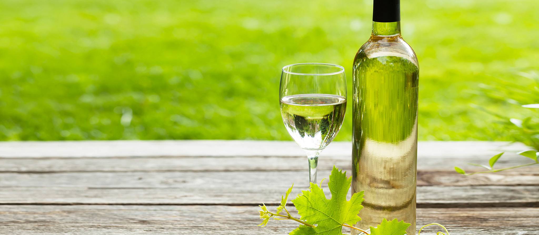 Vin bio, nature ou biodynamique : comment s’y retrouver ?