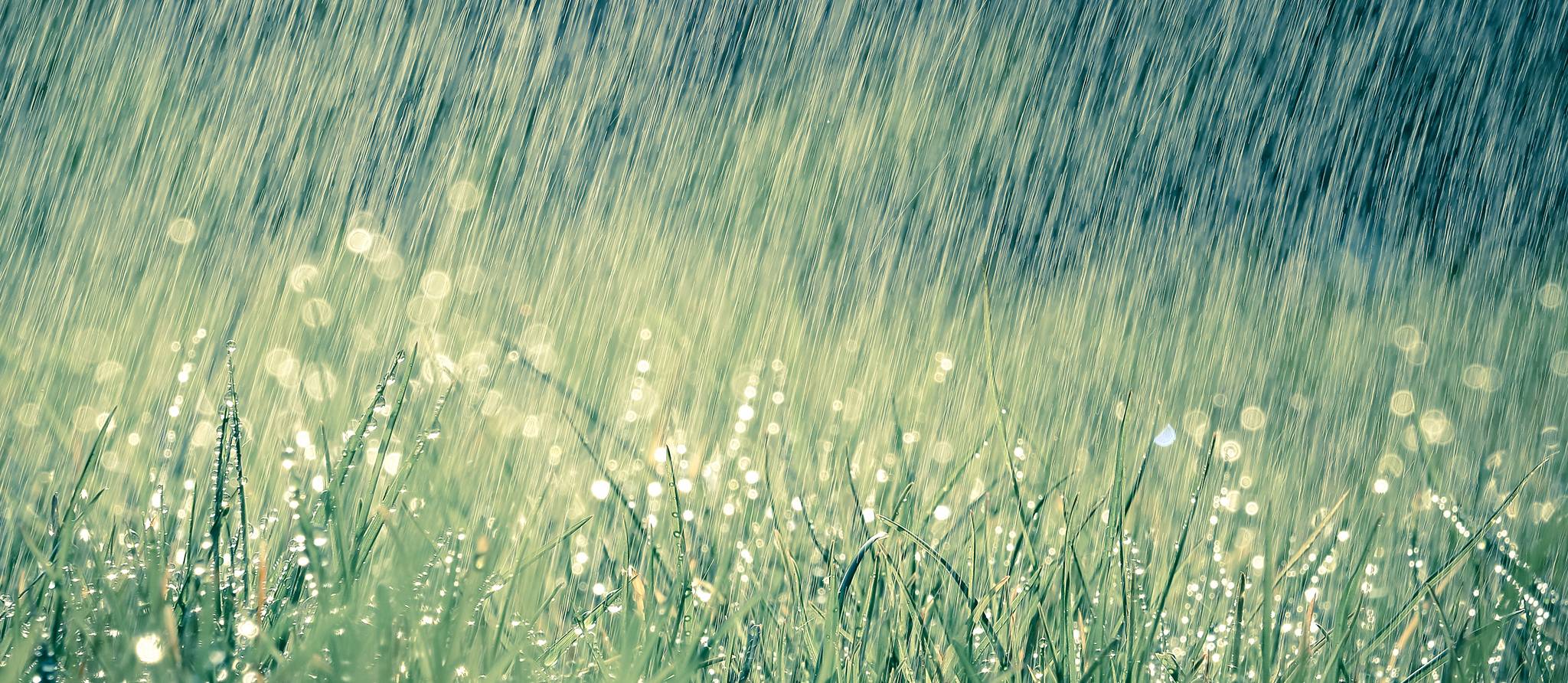 Jardinage écologique: comment récupérer l’eau de pluie
