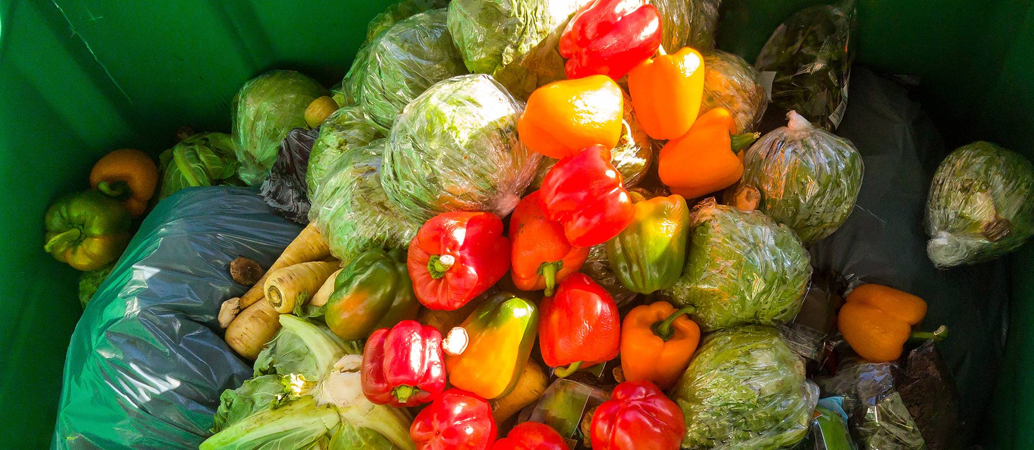 Les Canadiens jettent 3 millions de tonnes de nourriture chaque année