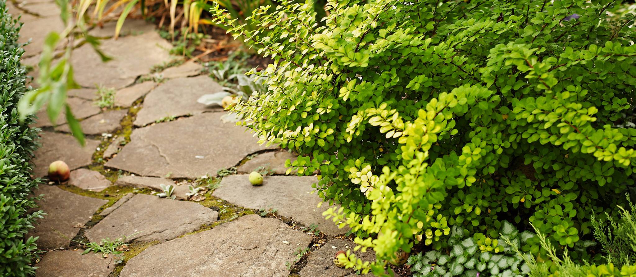 Aménager une allée de jardin: avantages et inconvénients des divers matériaux