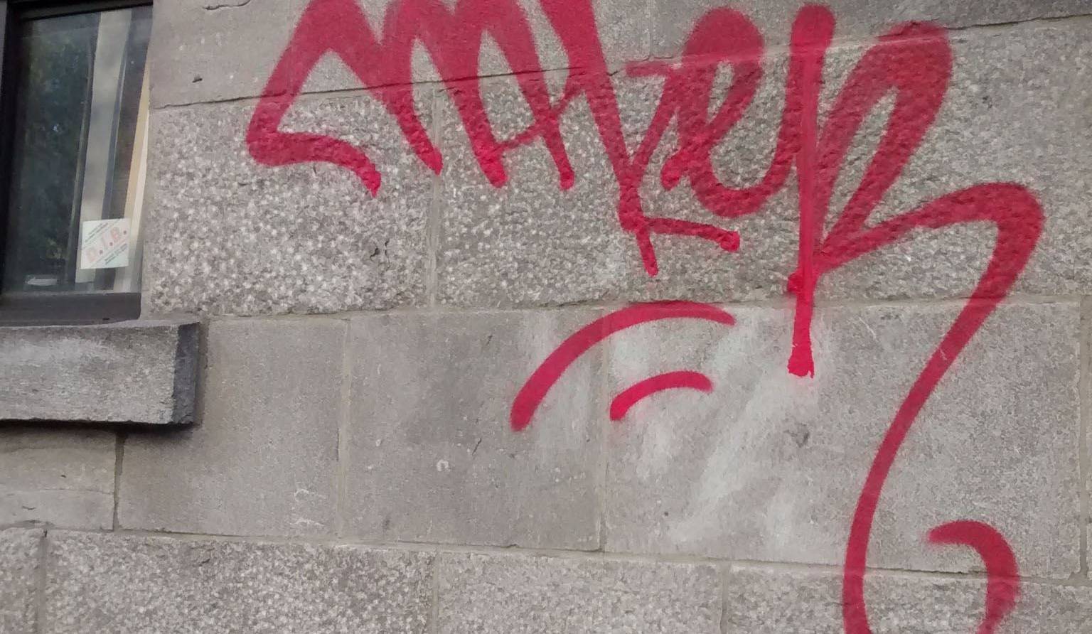 Graffitis: comment éloigner les tagueurs... et agir si le mal est fait