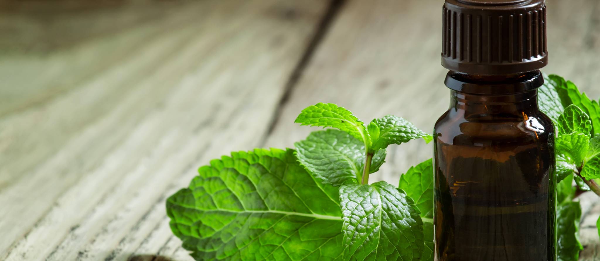 Enfants et huiles essentielles: gare aux intoxications