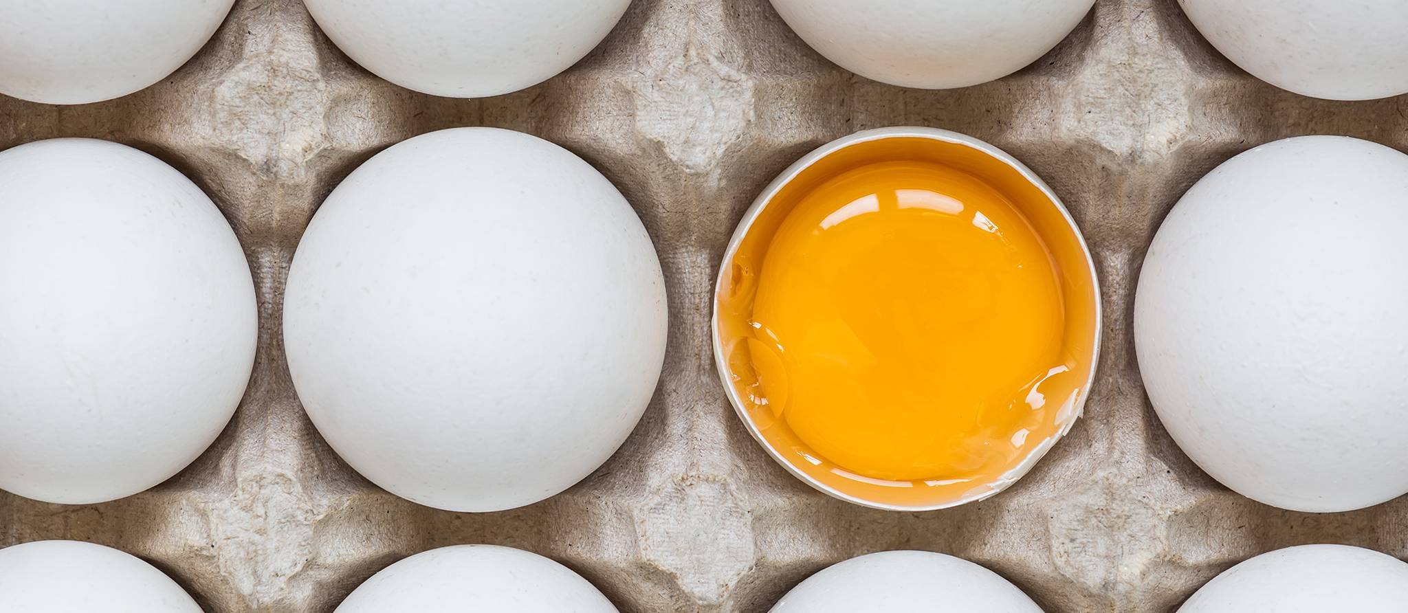Pourquoi réfrigère-t-on les oeufs?