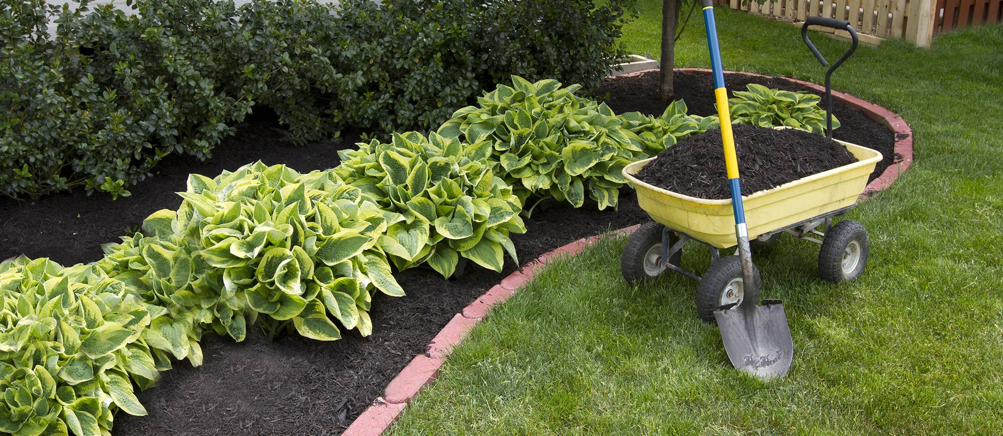 Où planter les arbustes, plantes et arbres pour un aménagement paysager réussi