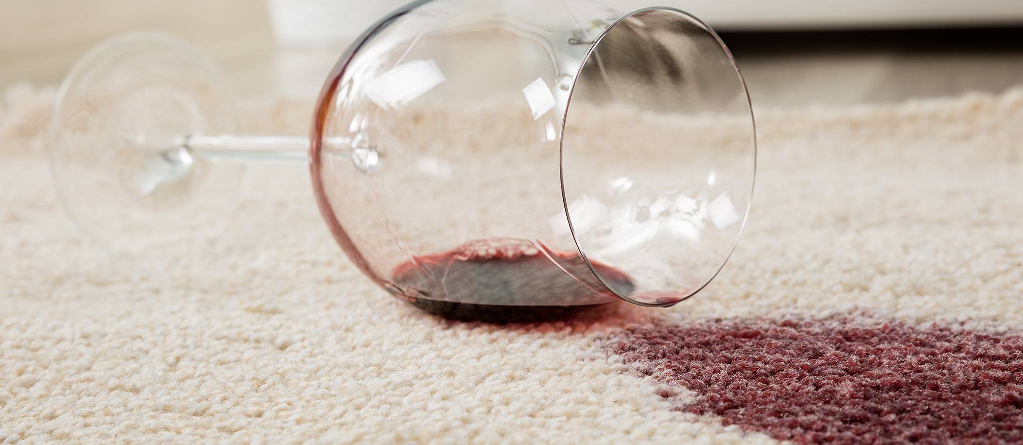 Comment se débarrasser des taches de vin, jus, sang et urine de chat