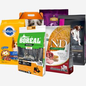 Les meilleures nourritures pour chiens