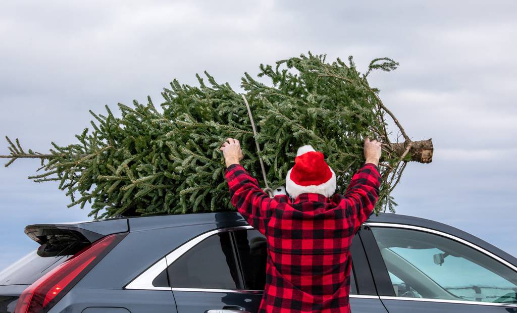 Pour Noël, faites un cadeau à la planète
