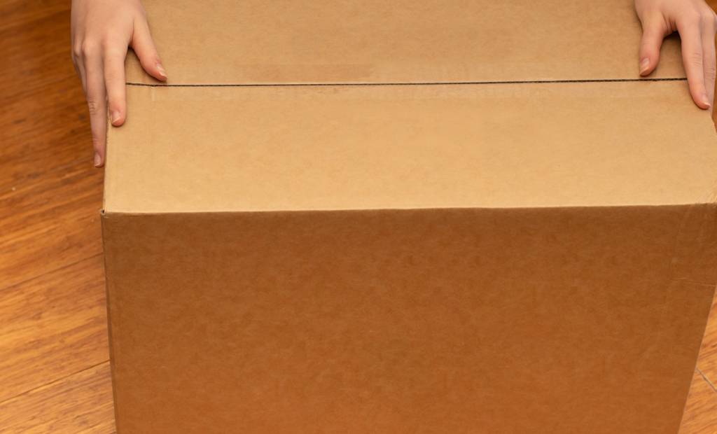 Un an à faire valoir mes droits dans toutes les situations