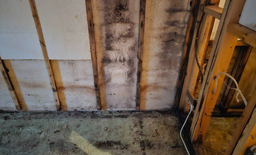 Mon sous-sol sent l’humidité. Est-ce grave, monsieur l’inspecteur ?
