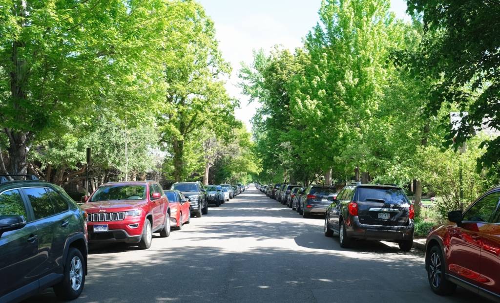 Les arbres ont un impact sur votre portefeuille