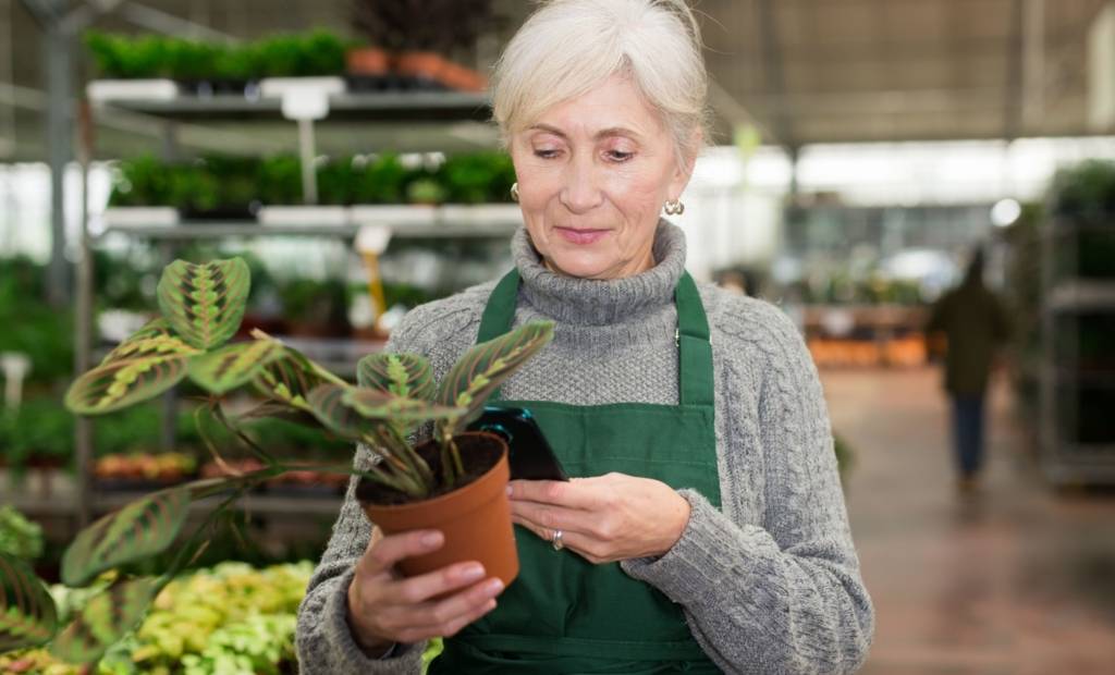 Cotiser au RRQ après 65 ans, une bonne idée?