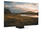 417754-Samsung-QN65S95F-Televiseur-1_OADA_2048x1528.jpg