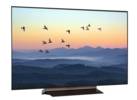 414118-LG-OLED48C4AUA-Televiseur-1_OADA_2048x1528.jpg