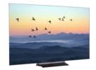417132-LG-OLED65C5PUA-Televiseur-1_OADA_2048x1528.jpg
