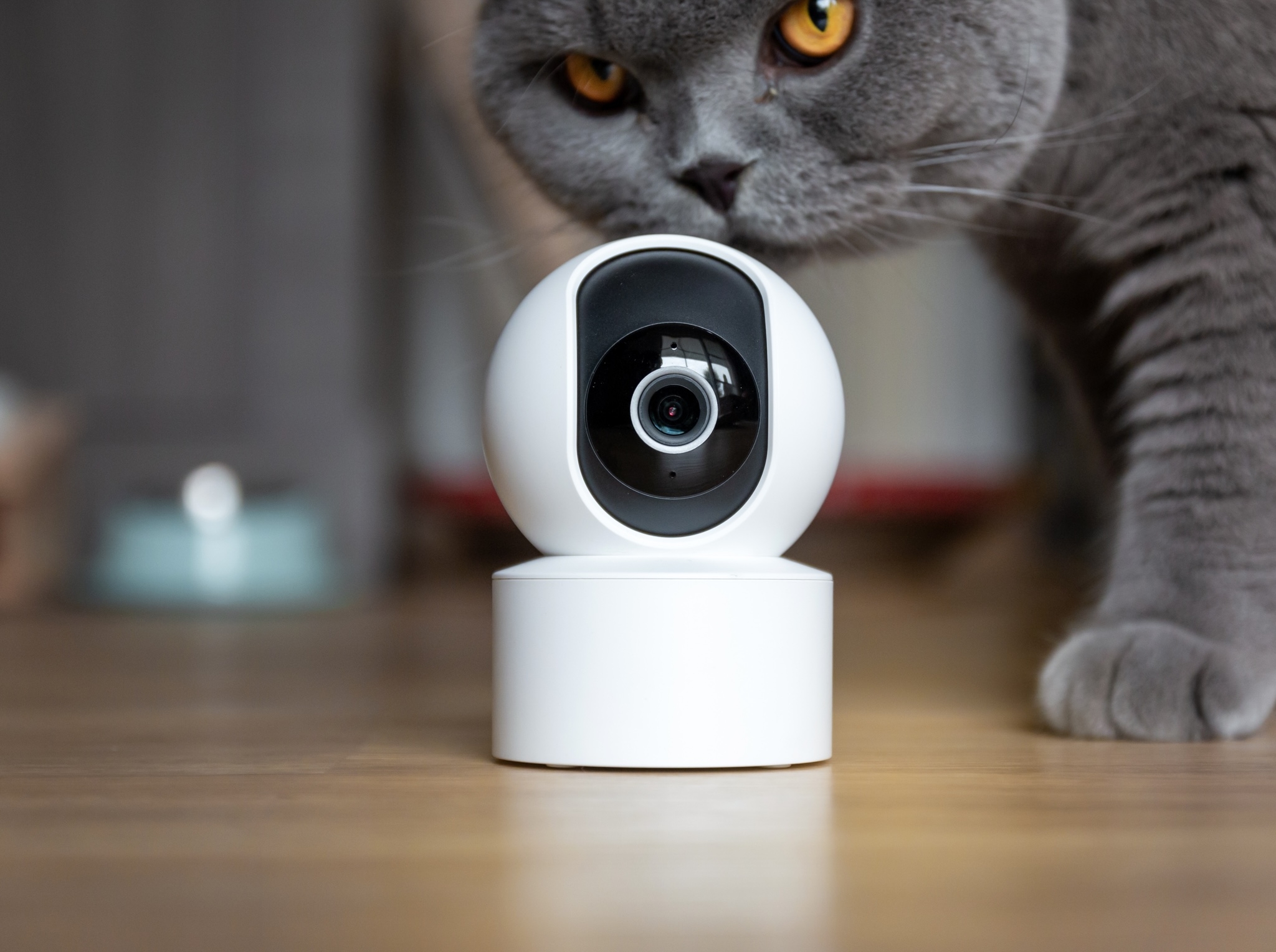 Top 5 cameras de surveillance extérieur sans fil avec enregistrement