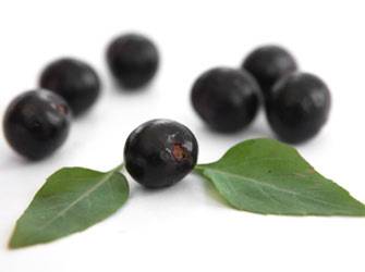 Acai20120119_G