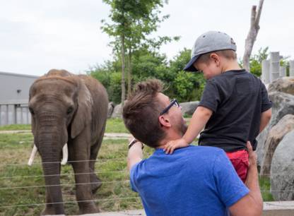 zoo