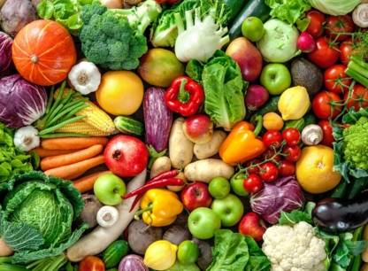 legumes-bios
