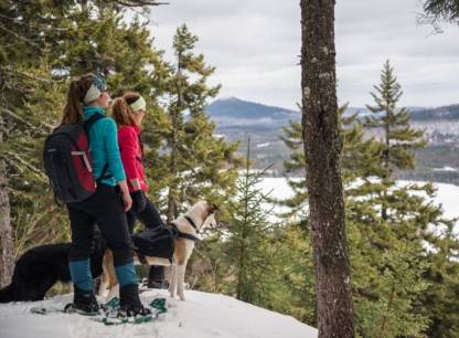 Visitez une trentaine de parcs régionaux gratuitement cet hiver