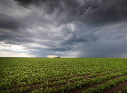 meteo-agriculture