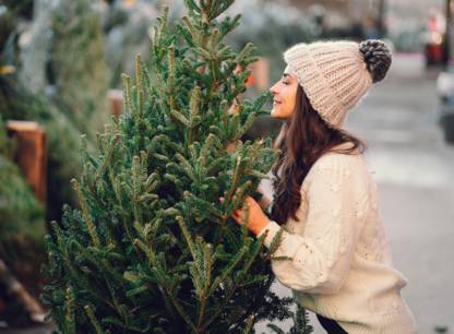 sapin-noel