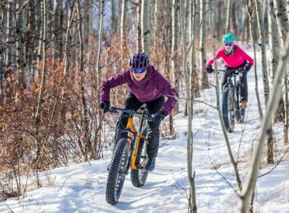 fat-bike