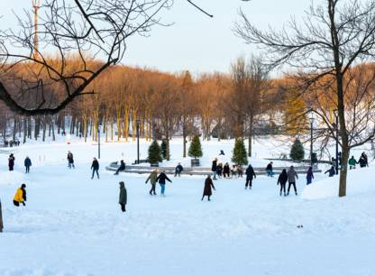 patinoire
