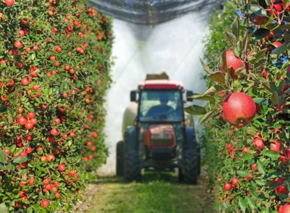 pesticides-pommes