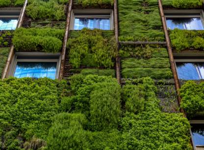 mur-vegetal
