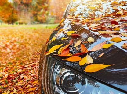 feuilles-carosserie