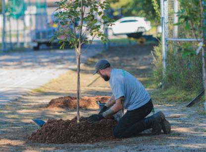 Le Québec résolument engagé dans la lutte contre les changements climatiques!
