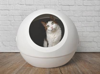 Test de trois bacs à litière automatiques : Whisker LitterRobot 3 Connect, Els Pet Spaceship et PetSafe ScoopFree