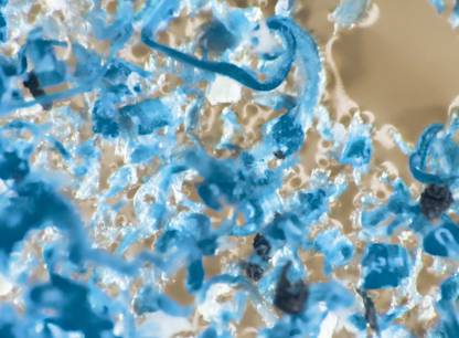 fibres-lavage