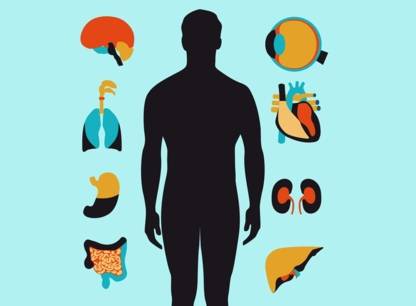 Votre corps: une richesse pour la recherche médicale
