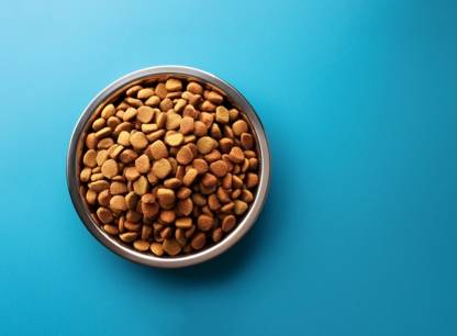 Nourriture pour chien: 4 bons rapports qualité-prix, de marque québécoise