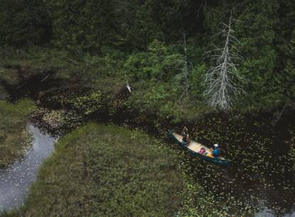 Quand protéger la planète rime avec plein air et bien-être