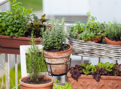 jardin-balcon