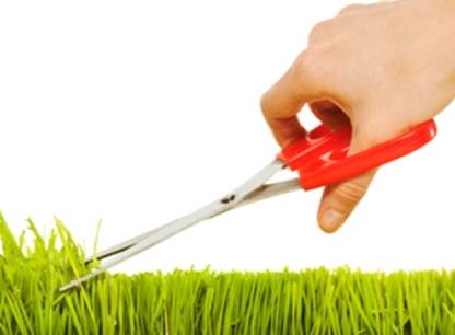 Conseils avant d acheter des services d entretien de pelouse